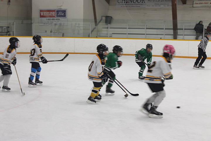 20208017_web1_IMG_8409