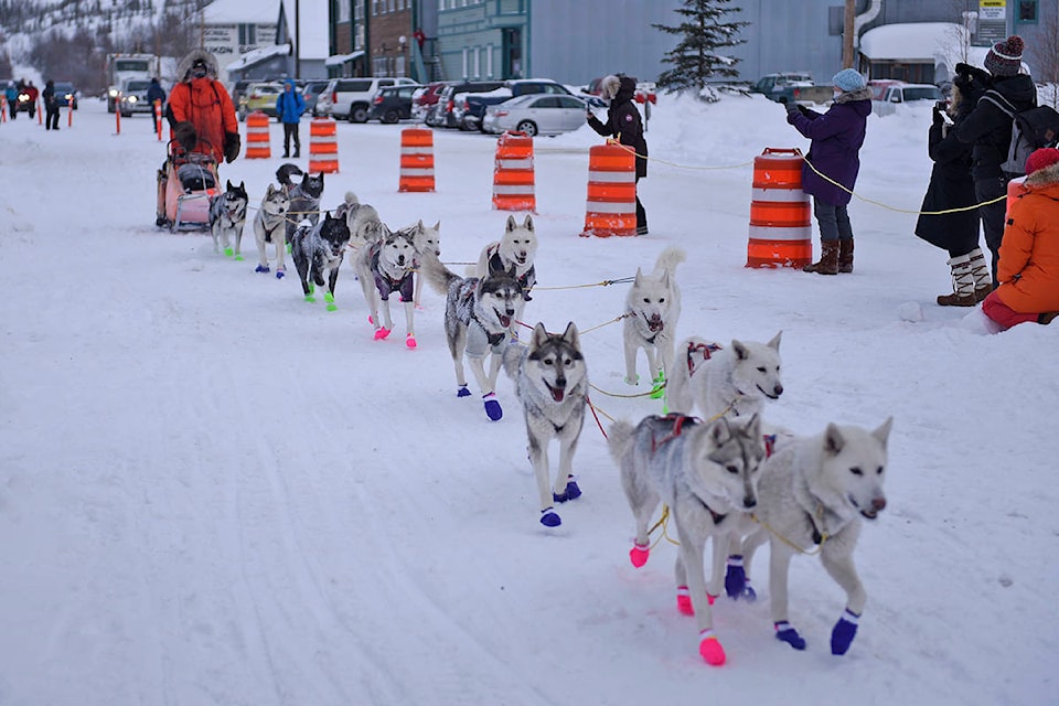 Mushing team sales
