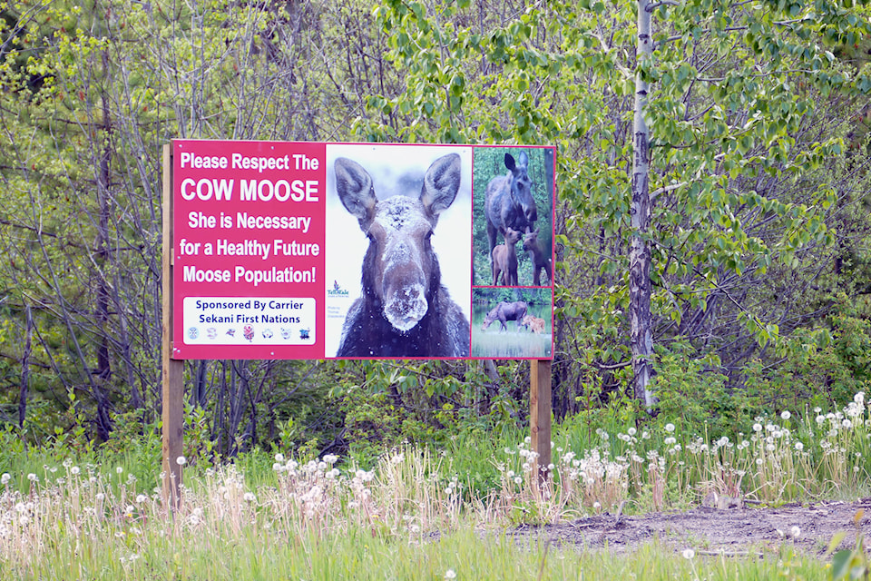 21832015_web1_200617-LDN-MooseHarvest-HOARDING_1