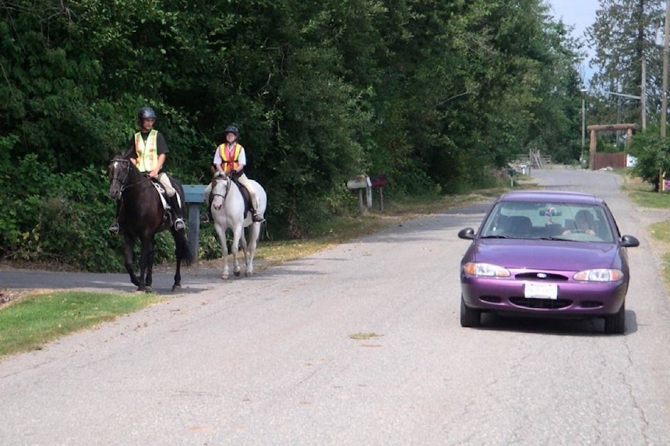 21867218_web1_20200616-BPD-car-passing-horses.MOTI