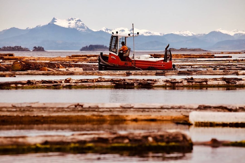 Dorian Uzzell, owner and partner of Campbell River-based logging company Wahkash Contracting, says every position is highly skilled, requiring dedication and focus. Photo courtesy of Wahkash Contracting Ltd.