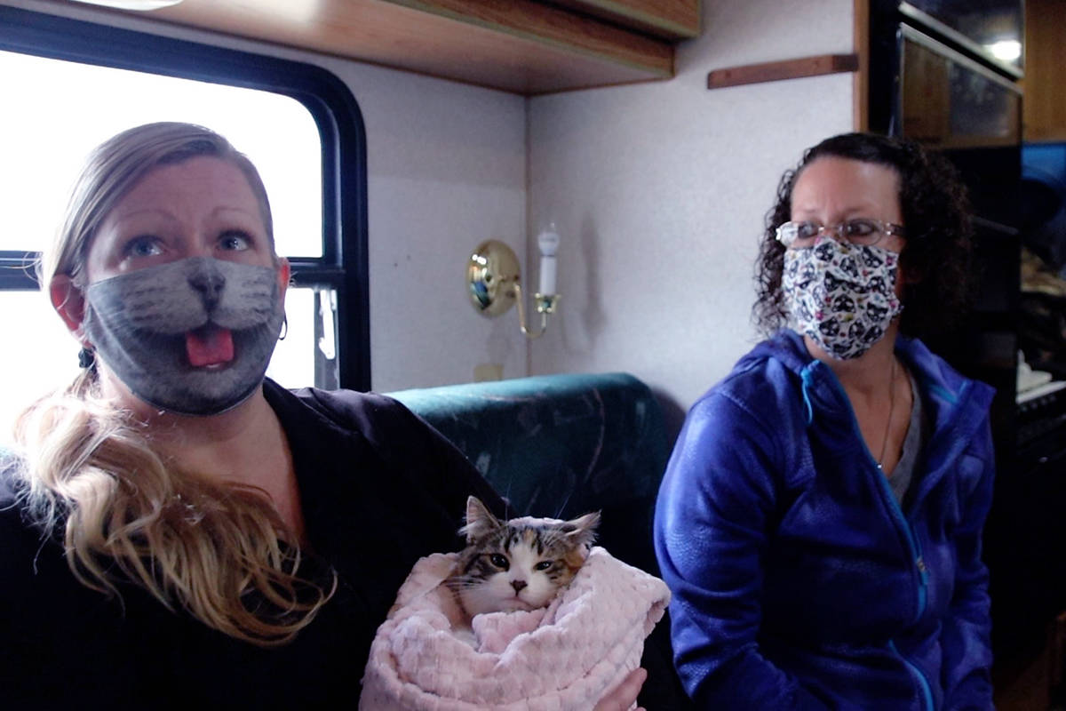 Kimberly Feeny, left, rescues, fosters and homes cats with the Kootenay Animal Assistance Program. She and friend Lisa Valenta, right, spent Friday, Nov. 27 nursing seven rescued kitties at Feeny聮s home in Grand Forks. Photo: Laurie Tritschler