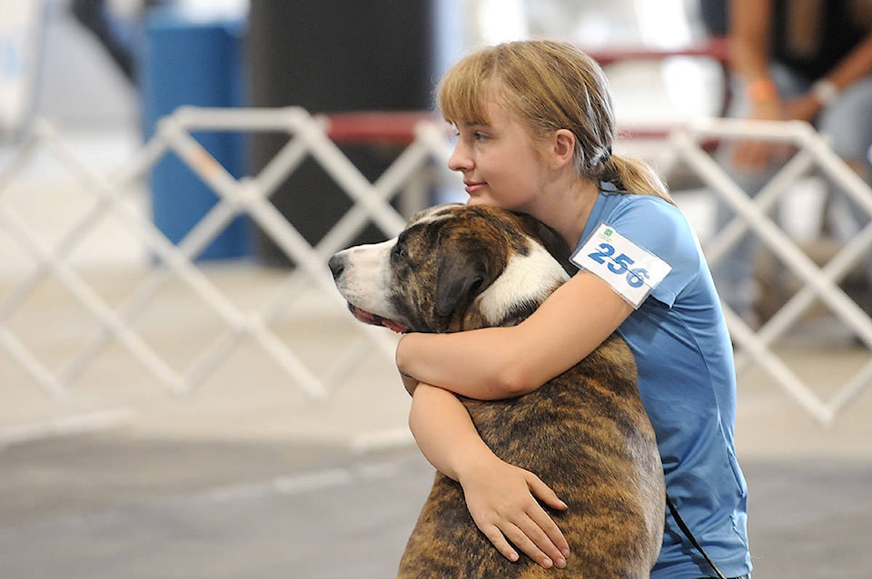 24721520_web1_210401-CPL-Unofficial-holidays-April4to10-DogHug_1