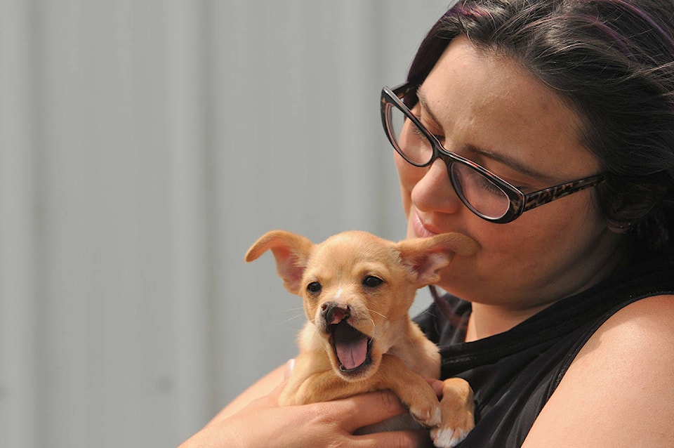 25618240_web1_210605-CPL-SPCA-Lock-In-Fore-Love-Baby-Snoot-Chilliwack_3