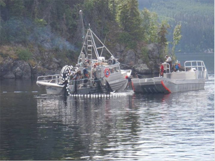 26056015_web1_210811-LDN_salmonspawn-salmon_1