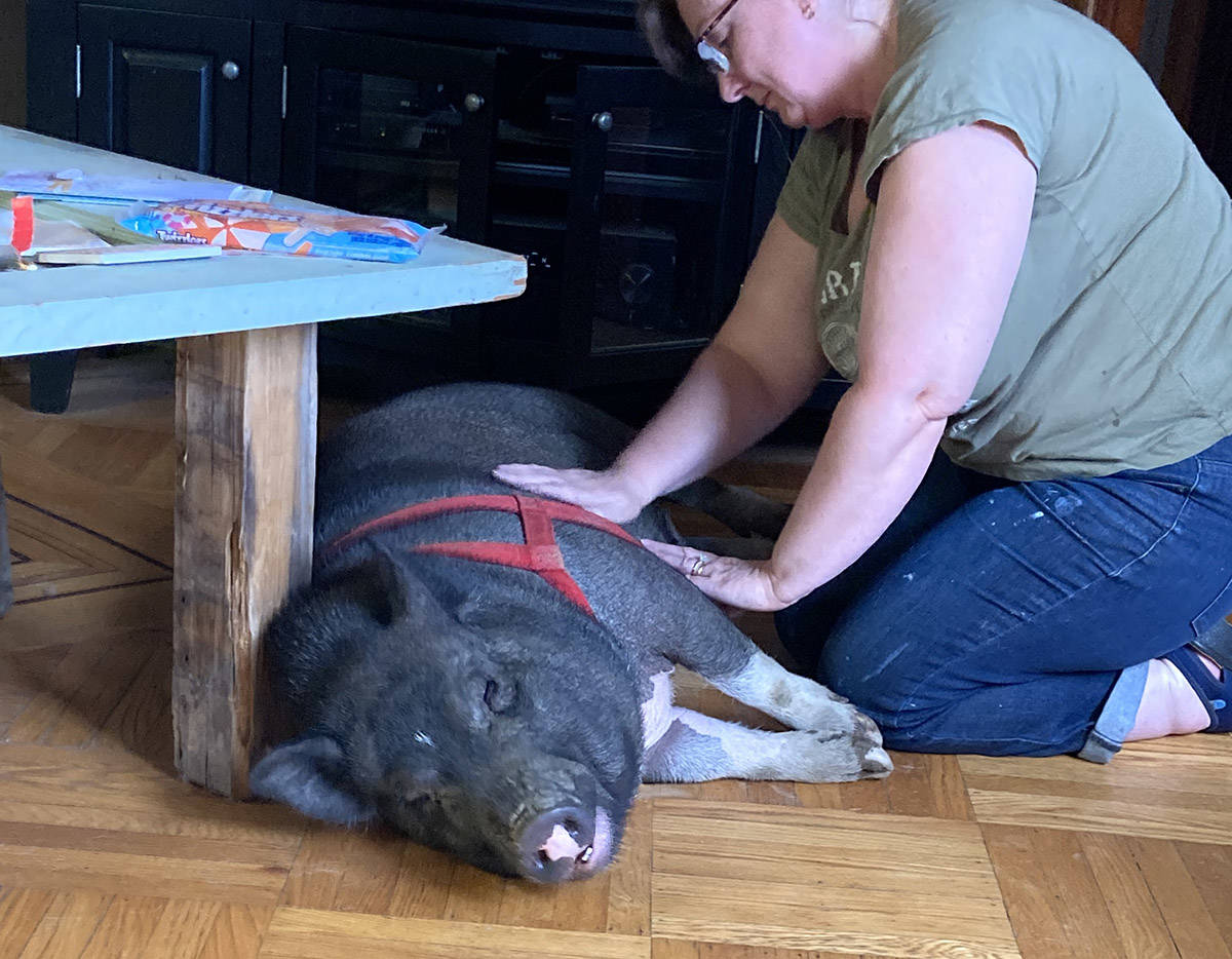 Julie Gagne with Hamson the pig. (Eli Gagne)