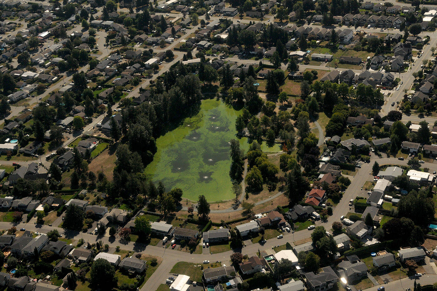 Sardis Park looking south on Sept. 9, 2021. (Jenna Hauck/ Chilliwack Progress)