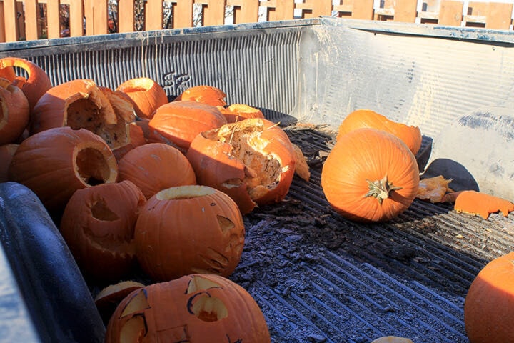 27028154_web1_211110-LDN-recycled-pumpkins-SA-pumpkins_2