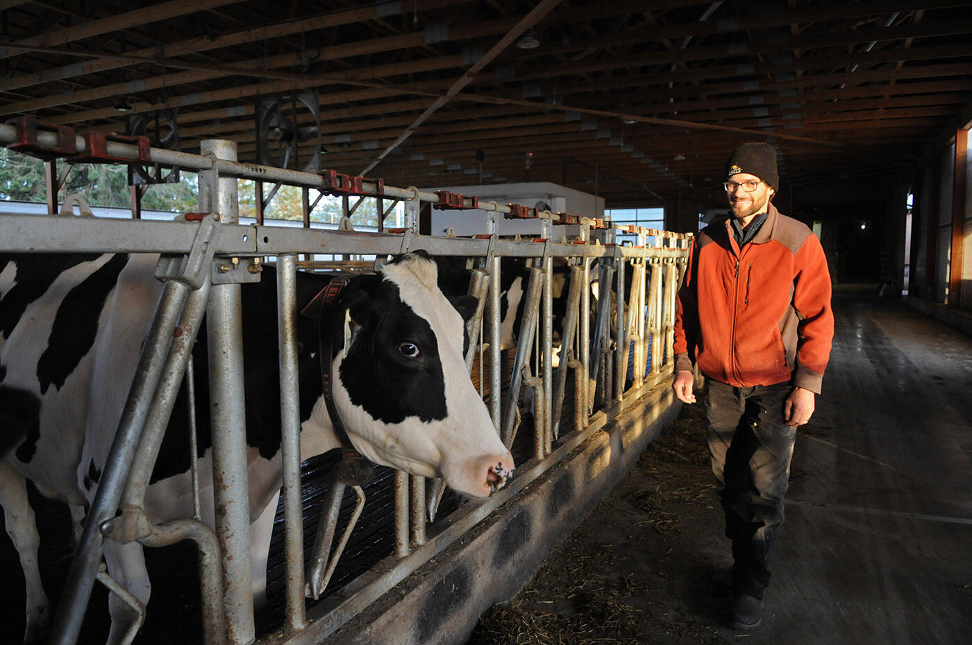 聯There聮s enough milk being dumped that would feed Chilliwack for a long time but it can聮t be stored indefinitely and because there聮s no transportation routes out, it聮s a consequence of the flooding.,聰 said Matt Schmidt, owner of Gala Dairy in Chilliwack on Wednesday, Nov. 17, 2021. (Jenna Hauck/ Chilliwack Progress)