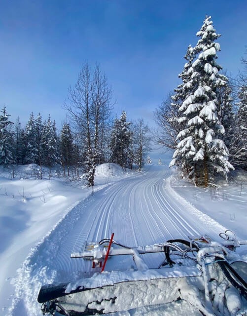 27742236_web1_220112-LDN-omineca-SA-ski_1