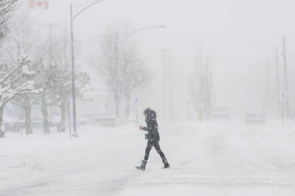 27838201_web1_220115-CPL-Unofficial-holidays-Jan16to22-SnowPedestrian_1