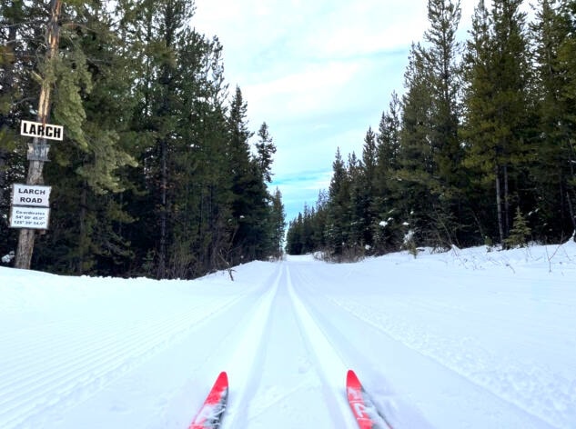 28246711_web1_220302-LDN-omineca-grooming-SA-ski_1