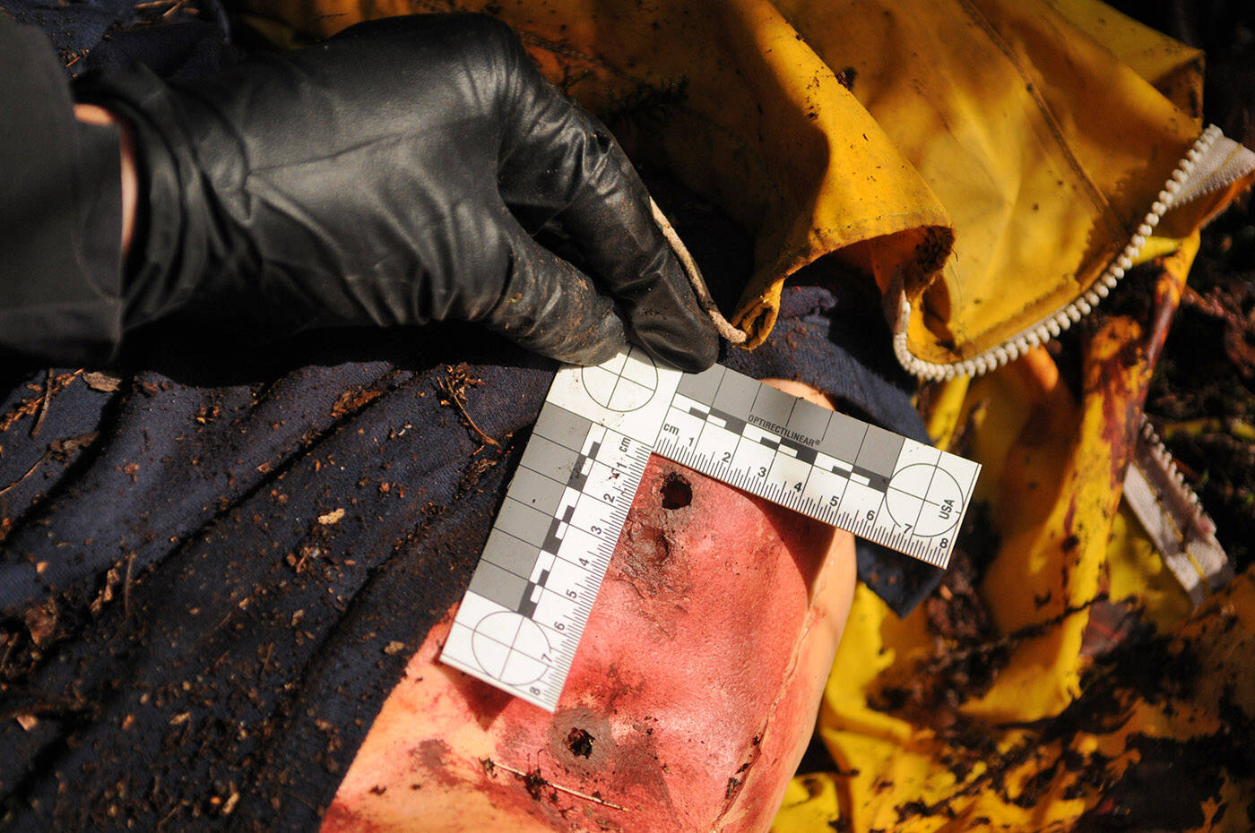 A conservation officer measures the distance between teeth marks in a mannequin to determine what type of animal was involved in a simulated wildlife attack during a training session on Thursday, March 3, 2022. (Jenna Hauck/ Chilliwack Progress)