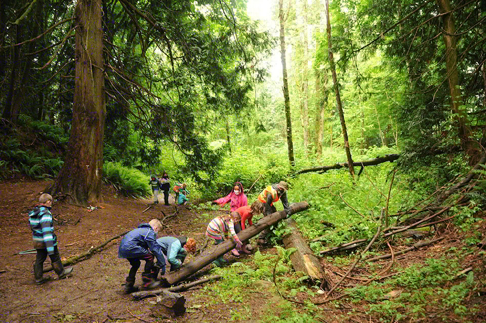 28513173_web1_210527-CPL-Little-Mountain-Kids-Remove-Invasive-Ivy-Chilliwack_7