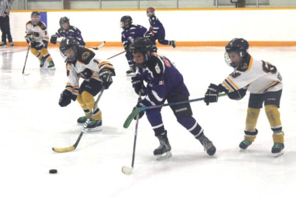 28628608_web1_220406-LDN-minor-hockey-recap-puck_1