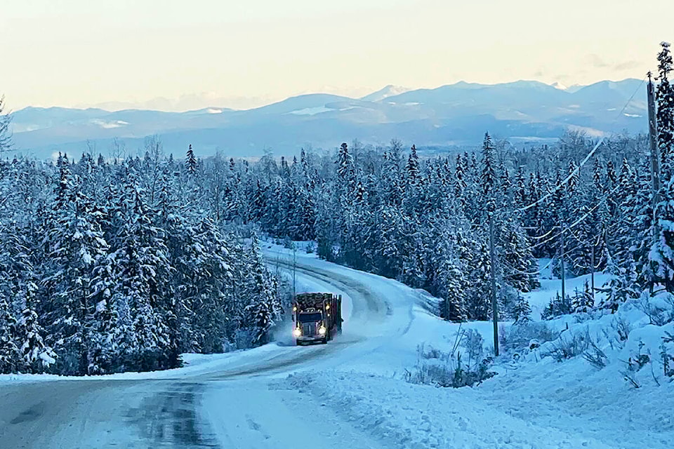 28941525_web1_211209-WLT-logger-photo-likely_1