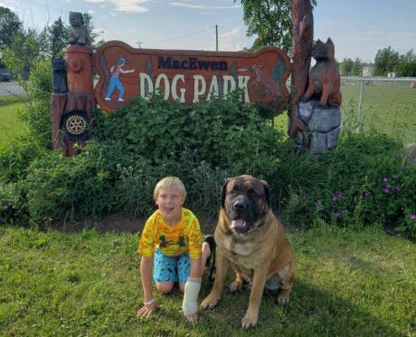 29652076_web1_220706-LDN_dogparkopening--dog_3
