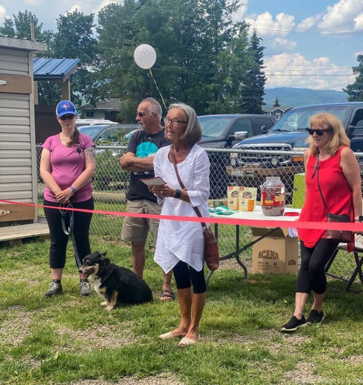 29652076_web1_220706-LDN_dogparkopening-dog_6
