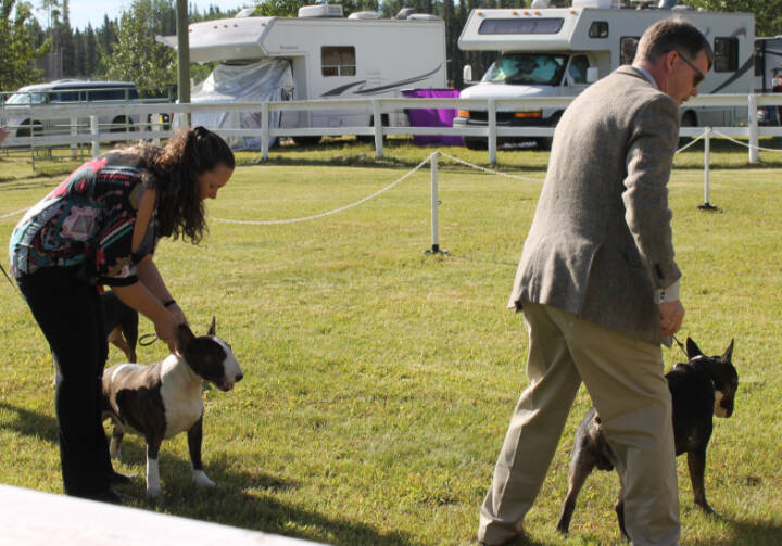 29859745_web1_220727-LDN_dogshow-kennelclub_4