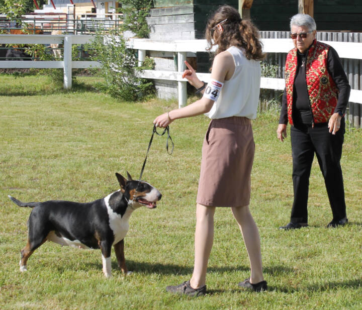29859745_web1_220727-LDN_dogshow-kennelclub_5