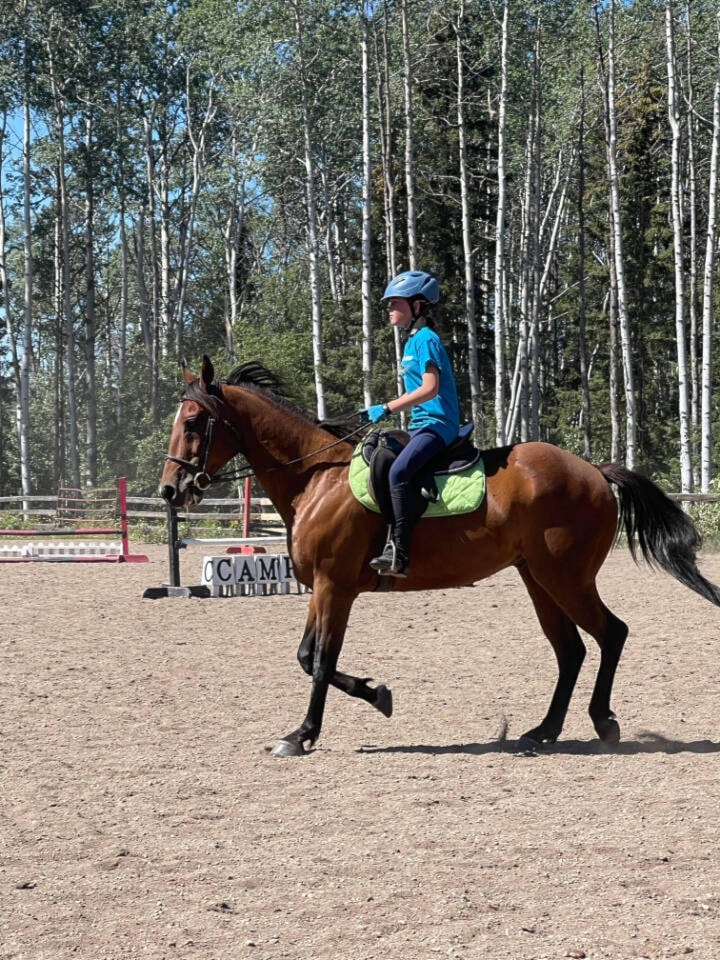 30062706_web1_220817-LDN_ponyclub-pony_2