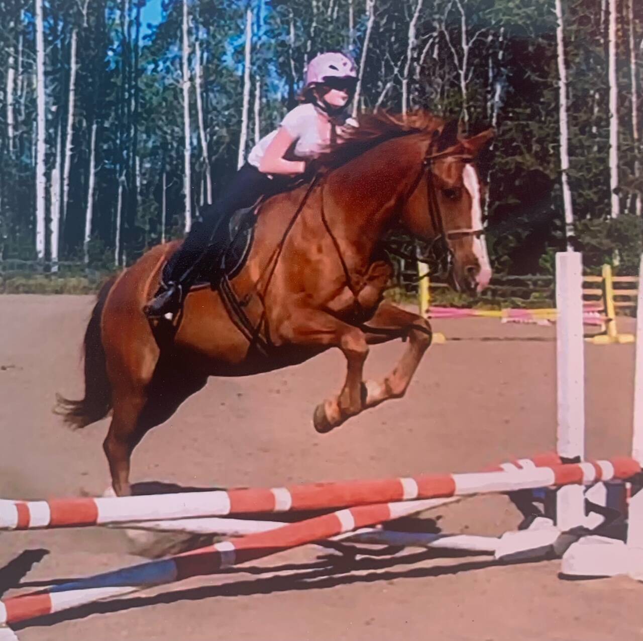 30062706_web1_220817-LDN_ponyclub-pony_6