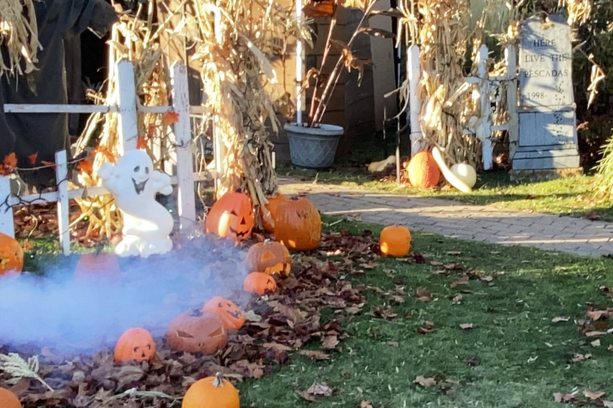30857530_web1_211104-SUM-Halloween-photo-SUMMERLAND_1