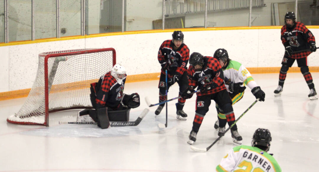 31672233_web1_30201-LDN_Timbermen_hockey_game-pics_3