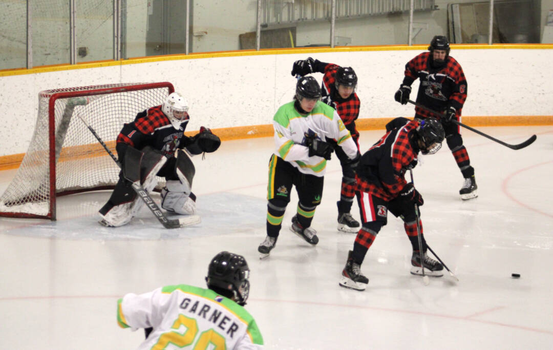 31672233_web1_30201-LDN_Timbermen_hockey_game-pics_4