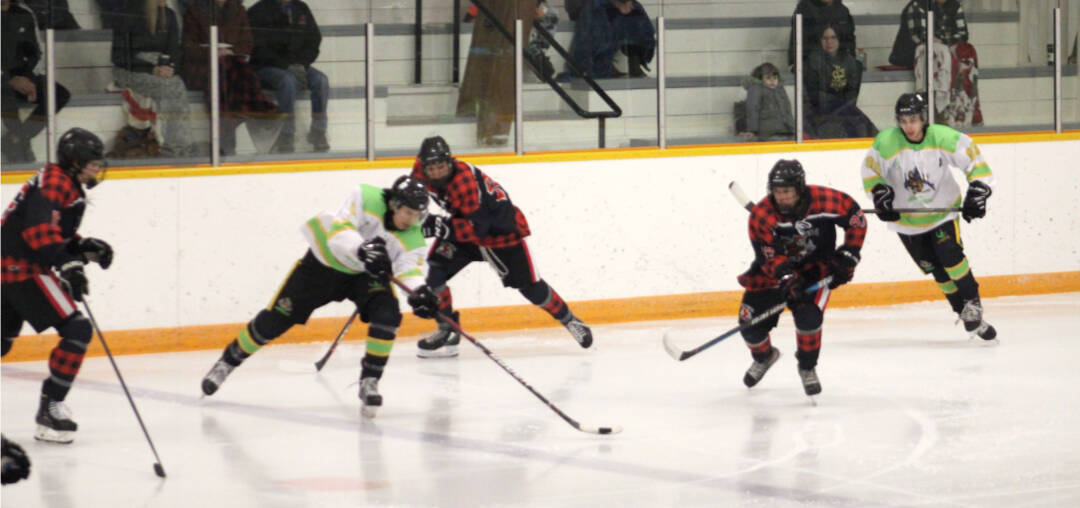 31672233_web1_30201-LDN_Timbermen_hockey_game-pics_5