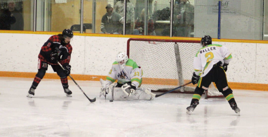 31672233_web1_30201-LDN_Timbermen_hockey_game-pics_7