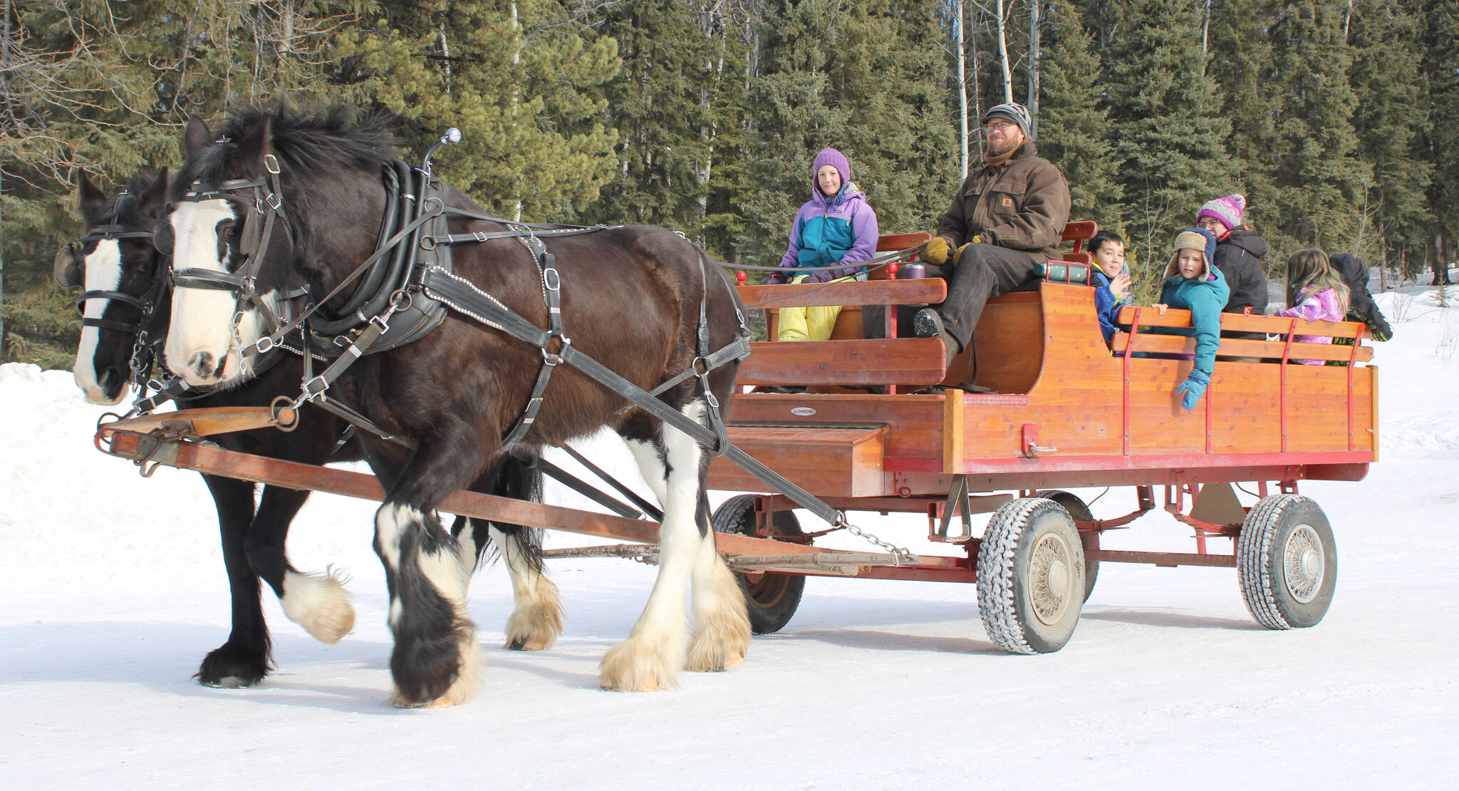 32015616_web1_230308-LDN_deckerlake.horse.ride-pics_3