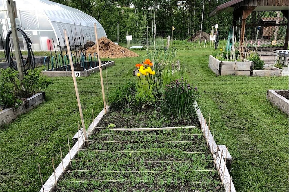 32841781_web1_230526-LDN-community-garden_1