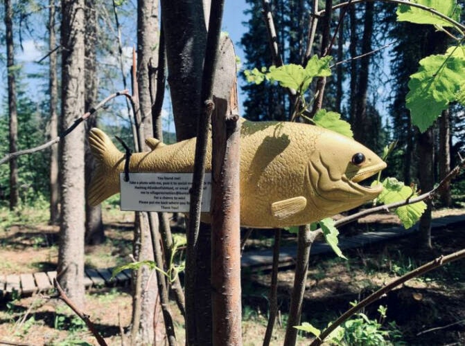 32926996_web1_230614-LDN_find_the_fish--Kburnie_1