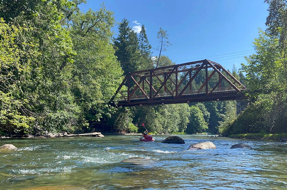 33303181_web1_230720-CCI-fish-dying-Cowichan-River_1