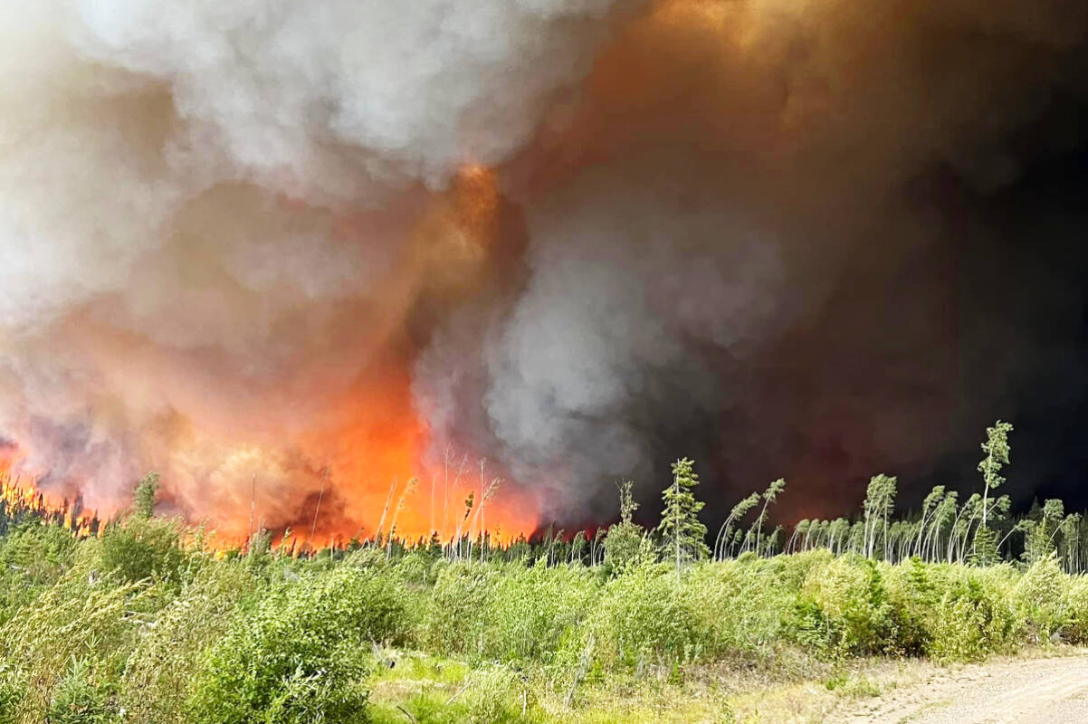 33315806_web1_230719-LDN_firepicsofcolleymount-fires_3
