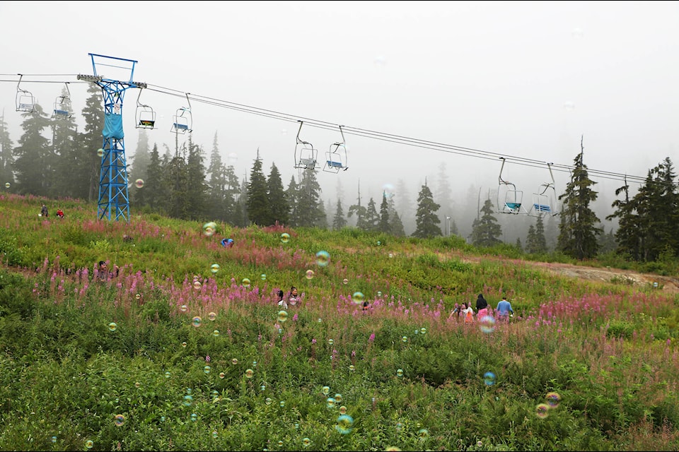 Families gather to pick blueberries and blow bubbles at Shames Mountain during the Blueberry Festival on Aug. 12, marking the event’s revival after two decades. The festival, organized by the Shames Mountain Ski and Snowboard Club as part of the 2023 Terrace Riverboat Days, celebrated the club’s 50th anniversary and offered a joyful day of community connection. (Angie Healey photo)