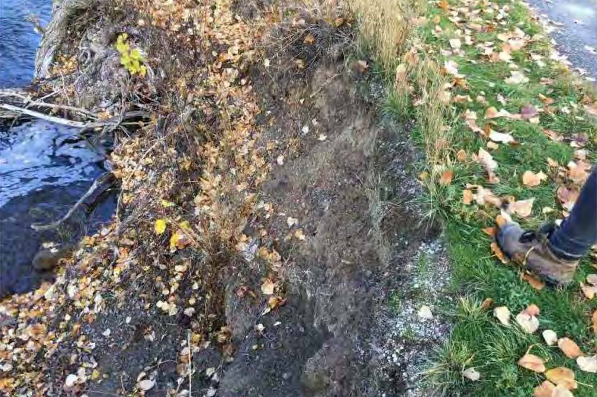 An image included in the 2018 inspection of Merritt聮s dikes shows 聯severe loss of embankment/scarping and excessive vegetation.聰 (Canadian Centre for Policy Alternative/Freedom of Information Request)