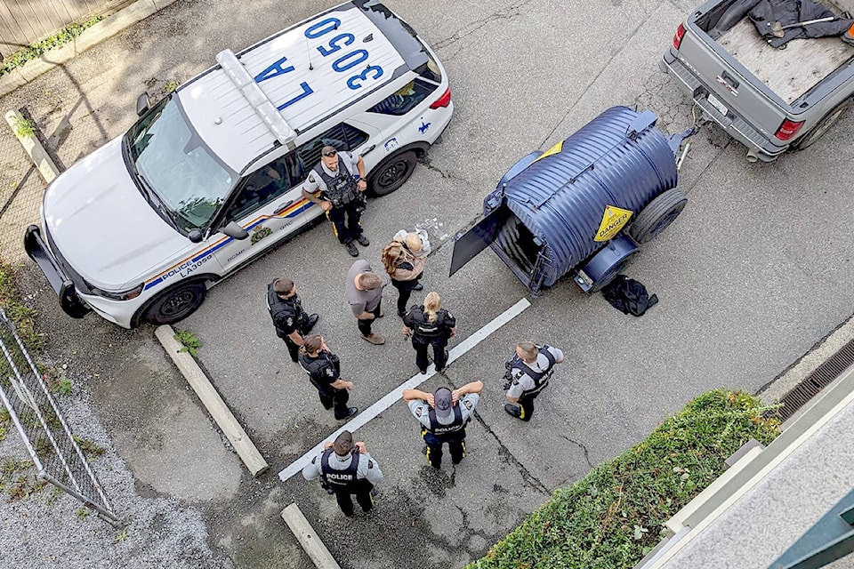 After a bear wandered into visitor parking at a downtown Langley residential building, it was captured by conservation officers who tranquilized it and put it in a metal trailer for relocation. (Allie Wilkinson/Special to Langley Advance Times)