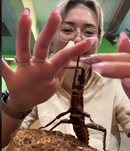 34352688_web1_231023-VNE-BugZooTikTok_2