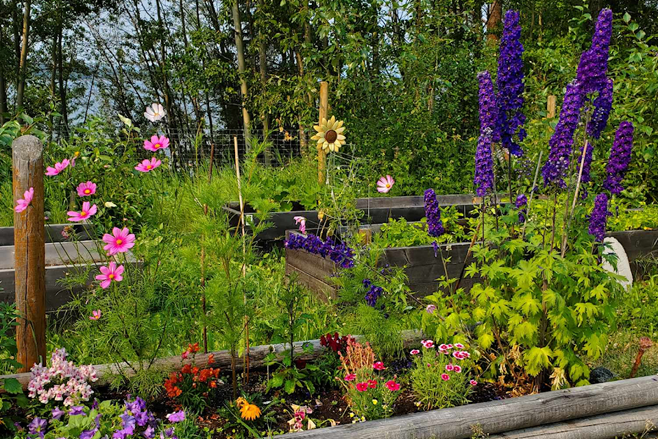 Lakeside Community Garden has been a space for community gathering for 11 years.