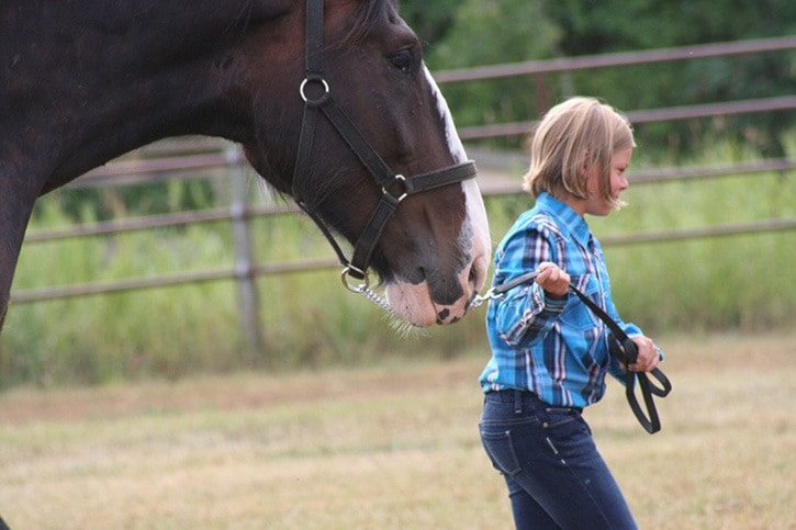 A young 4-H member shows her horse.
Sam Redding photo