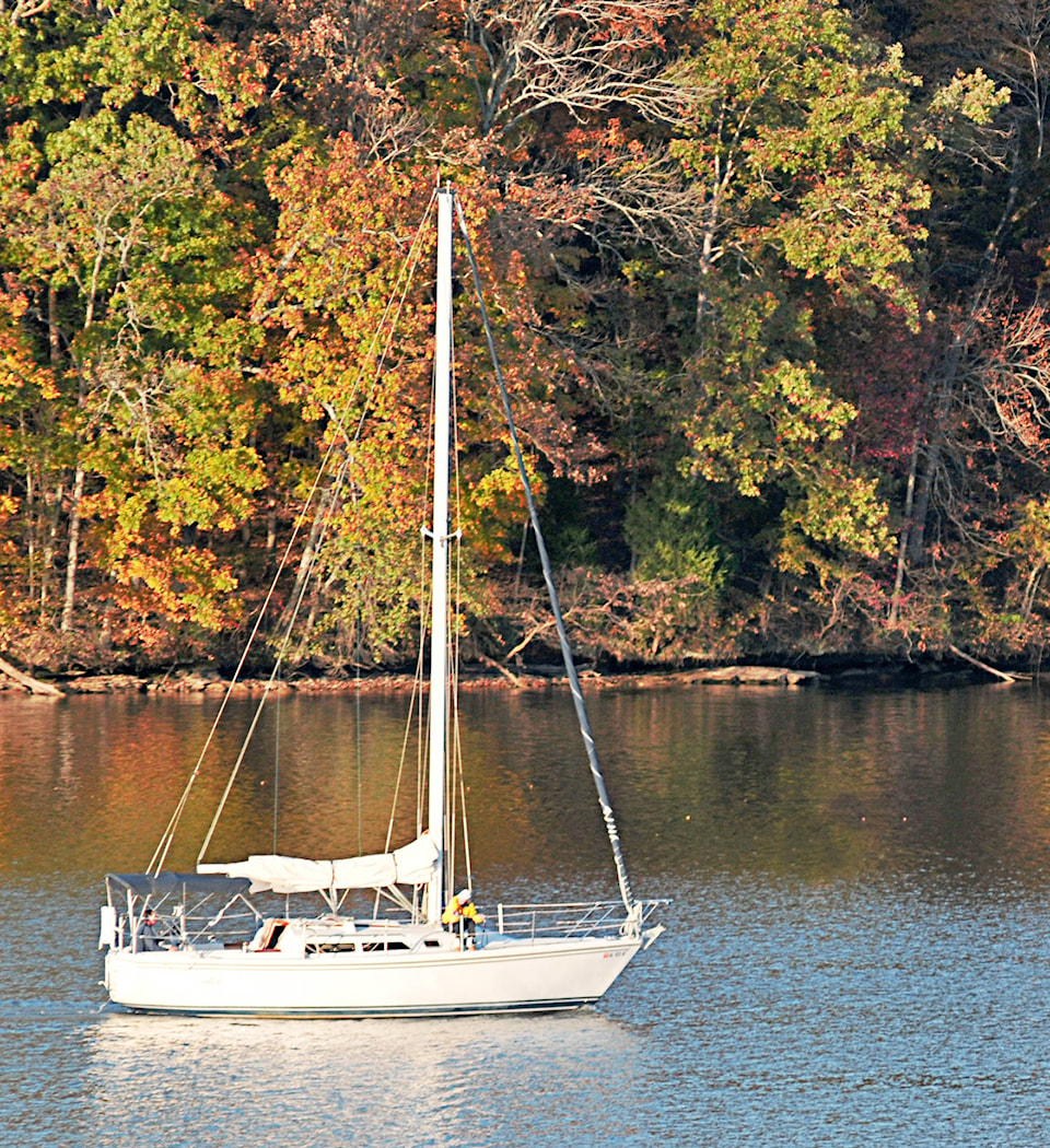 8547321_web1_SailBoat-in-the-Fall-Crop--2-