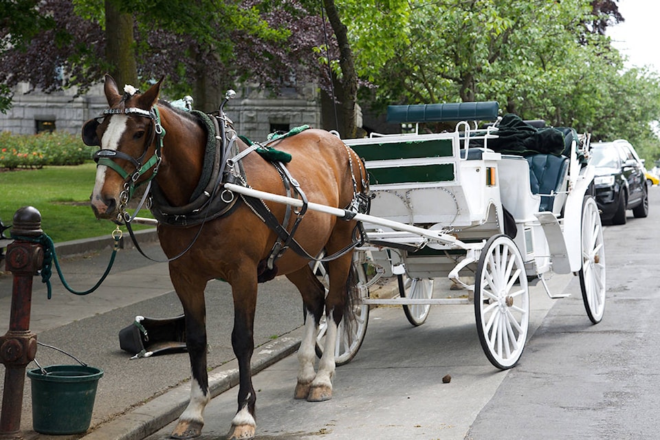 16858693_web1_190613-VNE-Carriages