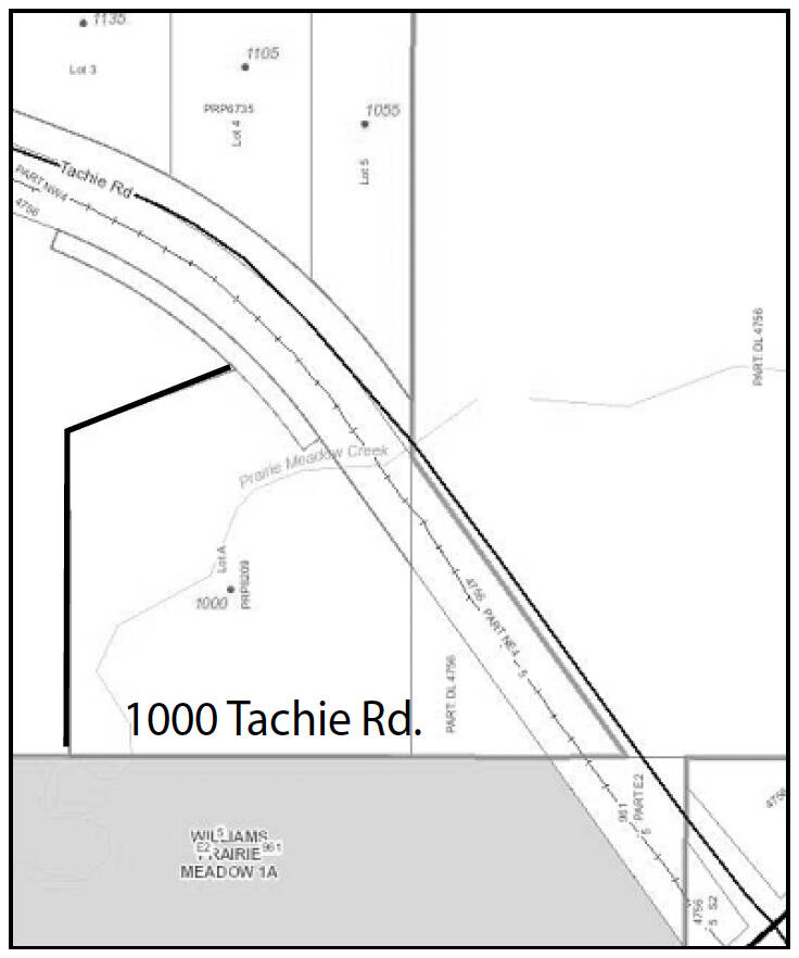 1000 tachie