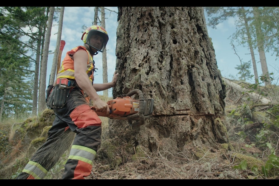The documentary film, Silvicola, will be screened at Landmark Cinema on Oct. 9. Following the screening, there will be a discussion on the current condition of forests and the forestry industry in British Columbia.
