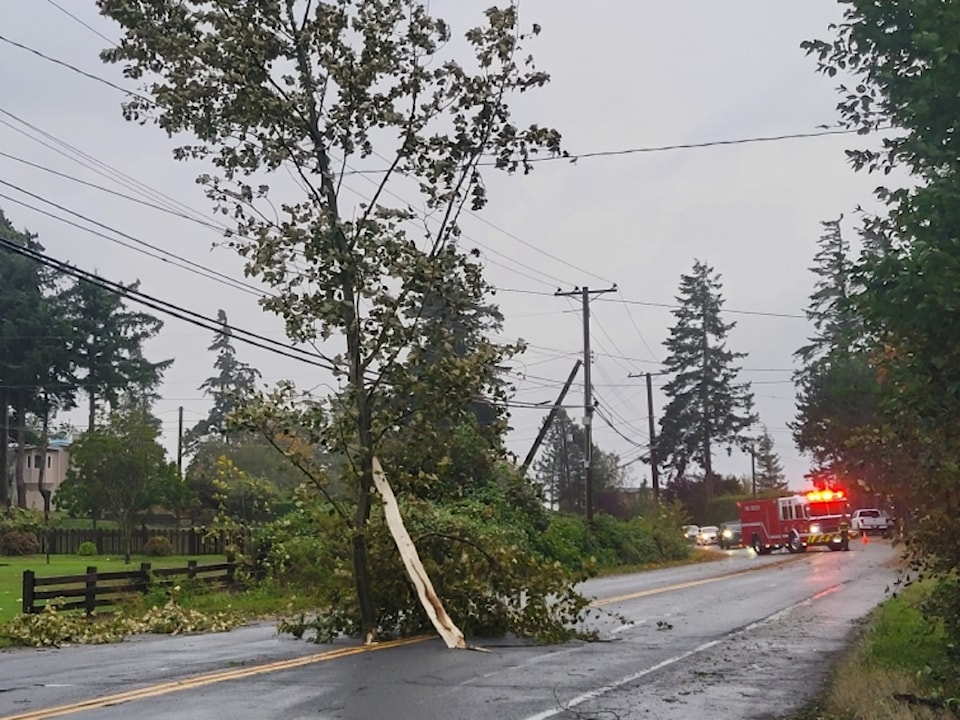 241009-crm-storm-follow-pic