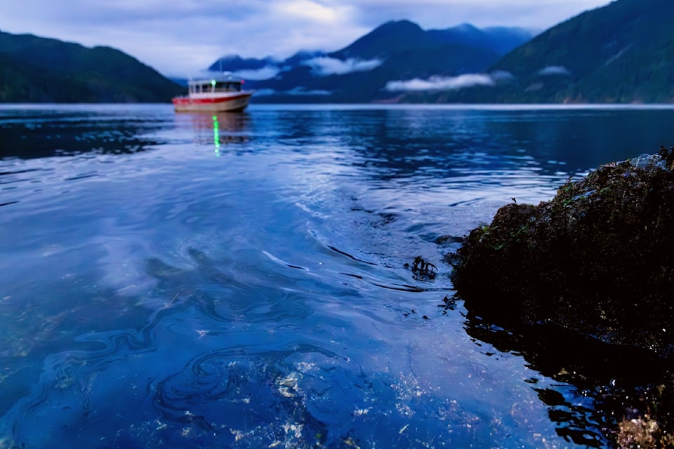 The Nuchatlaht Tribe says at high tide, diesel was coming out of the rocks into an area busy with wildlife after the oil spill at a fish farm near Zeballos over the weekend. 