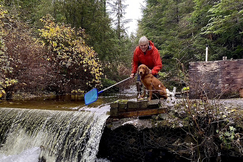 Strathcona Park Lodge owner Jamie Boulding and his counterpart Nico the big red dog assess the SPL-built dam for debris to prevent blockage in the pipe to ensure the Pelton wheel system operates optimally. 