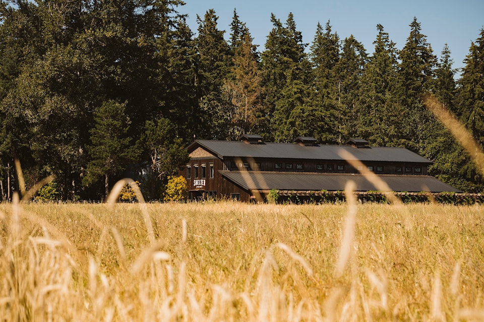 Shelter Point Distillery